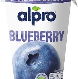 Alpro Φυτικό Επιδ'ορπιο Σόγιας Μύρτιλλο 500g